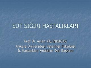 SÜT SIĞIRI HASTALIKLARI