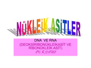 DNA VE RNA (DEOKSİRİBONÜKLEİKASİT VE RİBONÜKLEİK ASİT) PC KOPAT