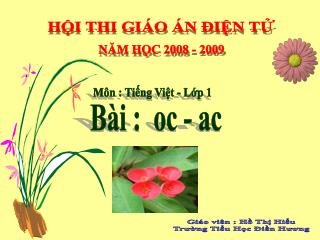 NĂM HỌC 2008 - 2009