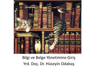 Bilgi ve Belge Yönetimine Giriş Yrd. Doç. Dr. Hüseyin Odabaş