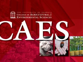 CAES2013