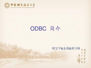 ODBC 简介