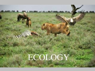 ECOLOGY