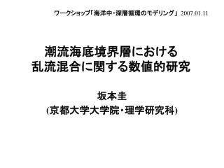 潮流海底境界層における 乱流混合に関する数値的研究