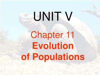 UNIT V Chapter 11 Evolution of Populations