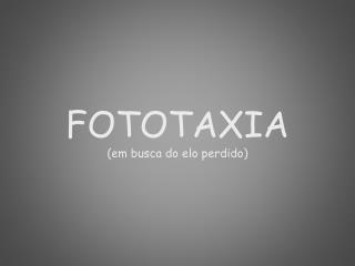 FOTOTAXIA (em busca do elo perdido)