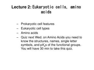 Lecture 2: Eukaryotic cells, amino acids