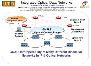 Integrated Optical Data Networks