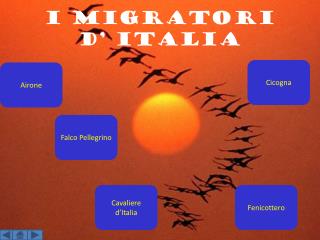 i migratori d’ Italia