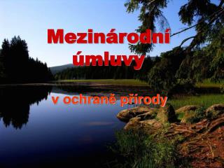 Mezinárodní úmluvy