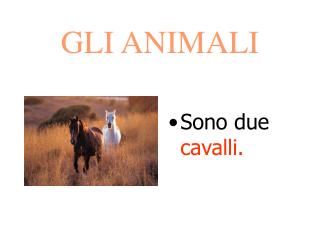 GLI ANIMALI