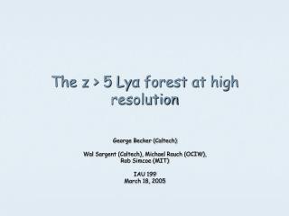 The z &gt; 5 Ly α forest at high resolution