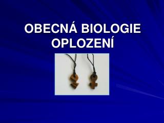 OBECNÁ BIOLOGIE OPLOZENÍ