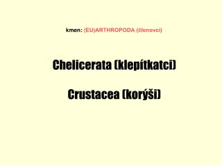 Chelicerata (klepítkatci) Crustacea (korýši)