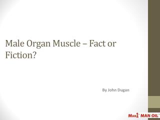 Male Organ Muscle – Fact or Fiction?