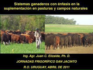 Sistemas ganaderos con énfasis en la suplementación en pasturas y campos naturales  