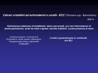 Calcari cristallini ad echinodermi e coralli– ECC (Titoniano sup.- Barremiano)