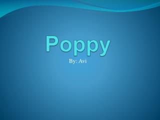 Poppy