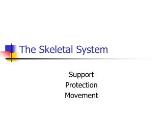 The Skeletal System