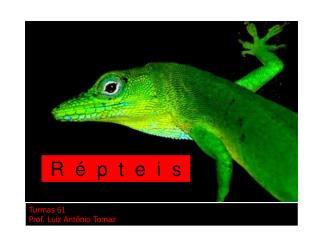 R é p t e i s