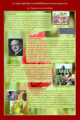 การตรึงไนโตรเจน