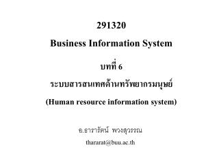 291320 Business Information System