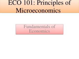 ECO 101: Principles of Microeconomics