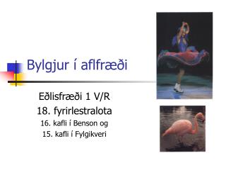 Bylgjur í aflfræði