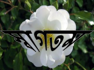 স্বাগতম