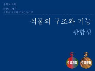 식물의 구조와 기능