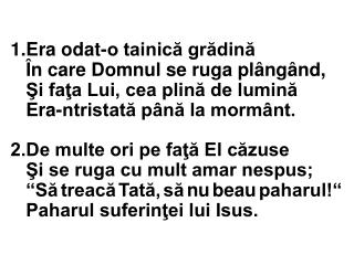 Amin