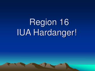 Region 16 IUA Hardanger!