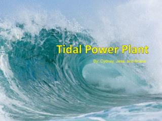 Tidal Power Plant