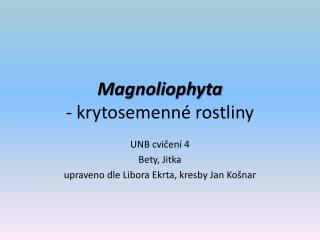 Magnoliophyta - krytosemenné rostliny