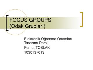 FOCUS GROUPS (Odak Grupları)