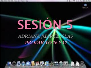 SESIÓN 5