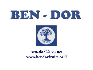 ben-dor@usa bendorfruits.co.il