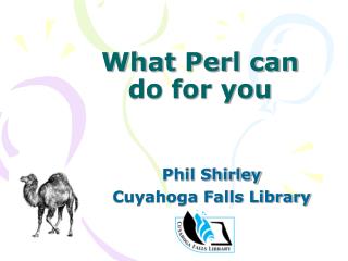 What Perl can do for you