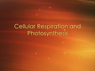 Cellular Respiration and Photosynthesis