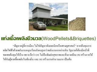 แท่งเชื้อเพลิงชีวมวล (WoodPellets&amp;Briquettes)