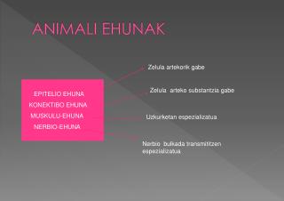 ANIMALI EHUNAK