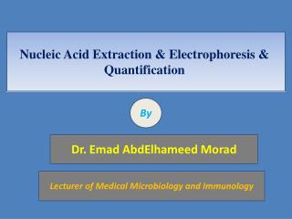 Nucleic Acid Extraction &amp; Electrophoresis &amp; Quantification