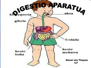 DIGESTIO APARATUA