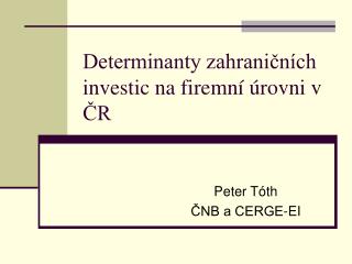 Determinanty zahraničních investic na firemní úrovni v ČR