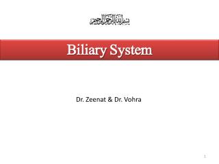 Biliary System