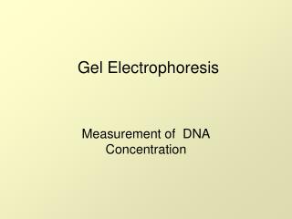 Gel Electrophoresis