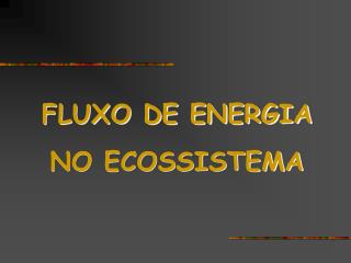 FLUXO DE ENERGIA NO ECOSSISTEMA