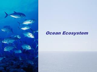 Ocean Ecosystem