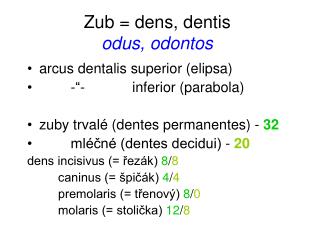 Zub = dens, dentis odus, odontos