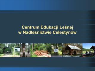 Centrum Edukacji Leśnej w Nadleśnictwie Celestynów